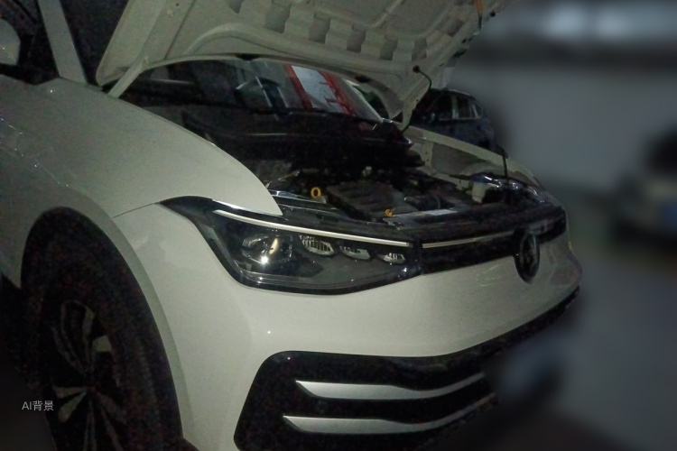 Volkswagen Tharu 2024 car image #4