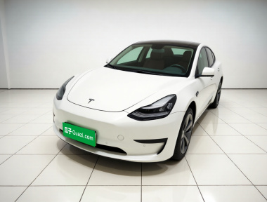 Tesla Model 3 2020 Tesla Model 3 2020 car image