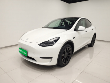 Tesla Model Y 2021 Tesla Model Y 2021 car image
