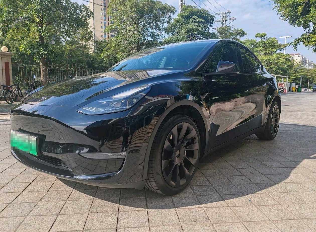 Tesla Model Y 2021 Tesla Model Y 2021 car image