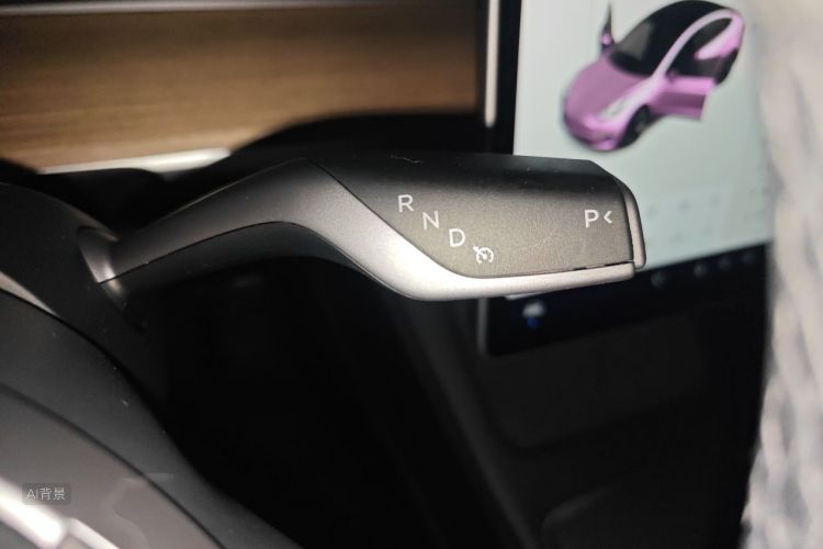 Tesla Model 3 2021 car image #16