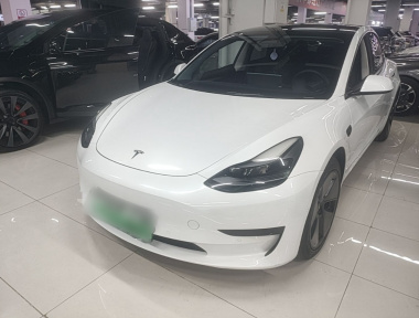 Tesla Model 3 2022 car image 