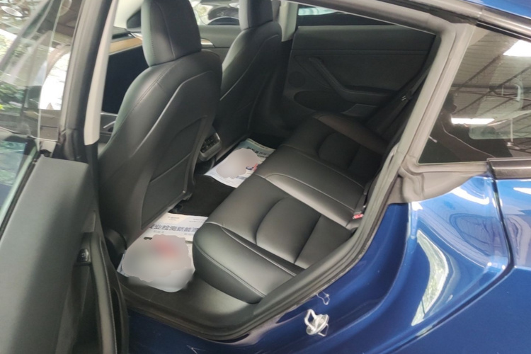 Tesla Model 3 2021 #17 Tesla Model 3 2021 car image #17