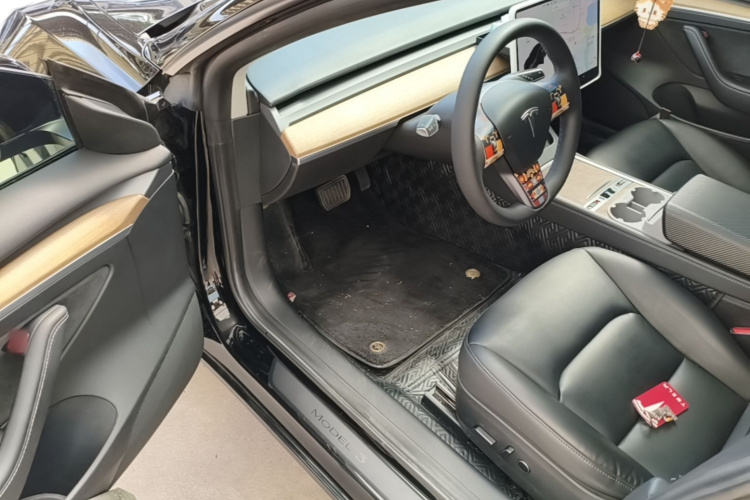 Tesla Model 3 2021 car image #16