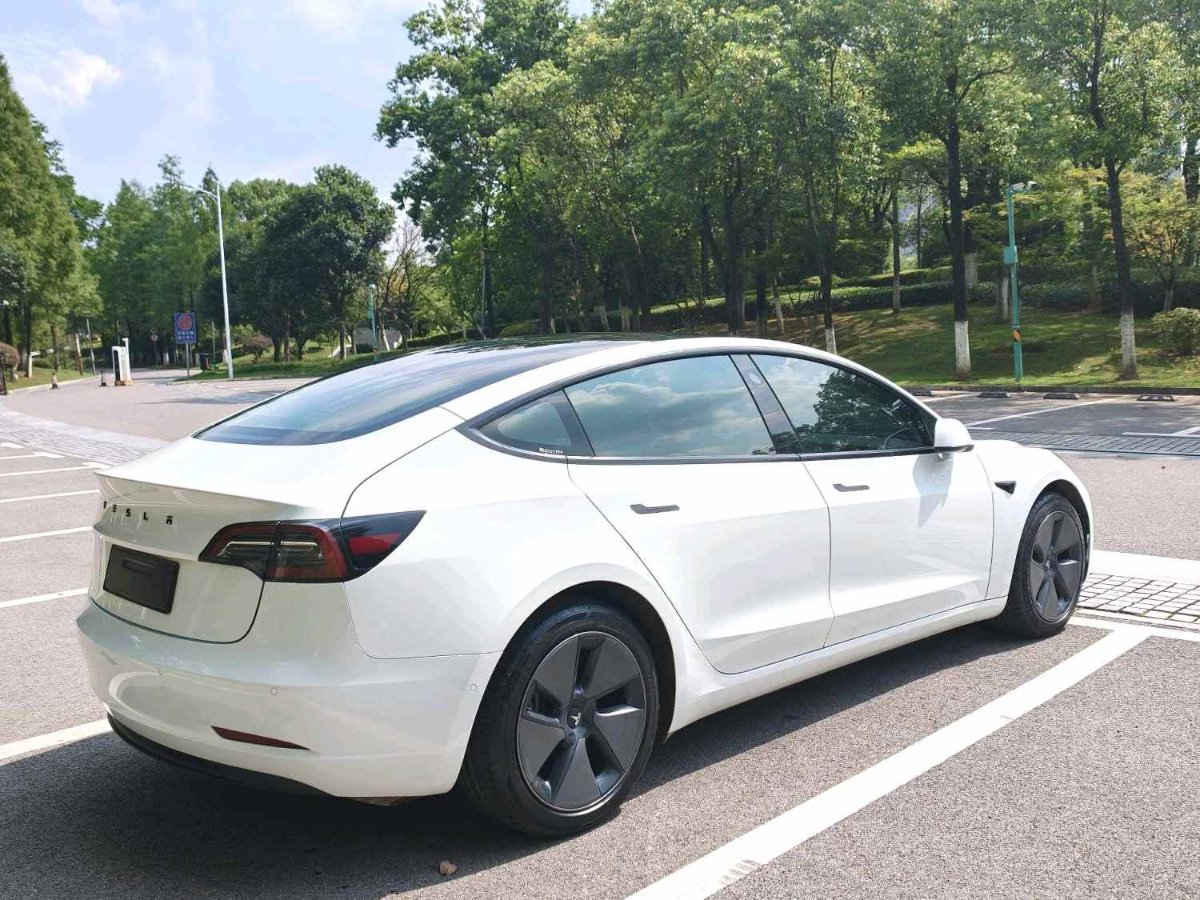 Tesla Model 3 2022 #9 Tesla Model 3 2022 car image #9