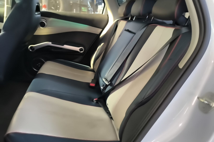 BYD Yuan Plus 2022 car image #13