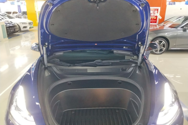Tesla Model 3 2021 car image #20