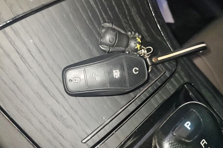 BYD Han 2022 car image #9