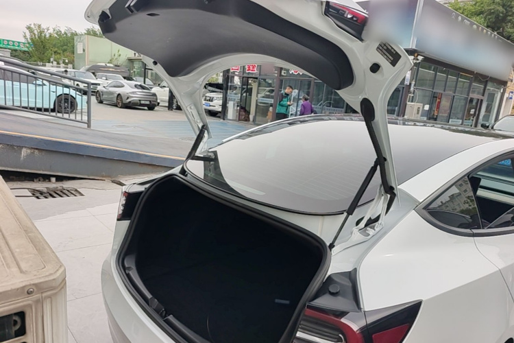 Tesla Model 3 2021 #21 Tesla Model 3 2021 car image #21