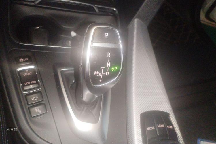 BMW 3 Series 2018 car image #16