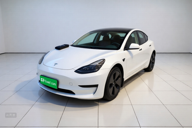 Tesla Model 3 2023 car image #2