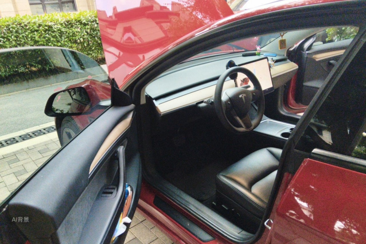 Tesla Model 3 2021 immagine di auto #18
