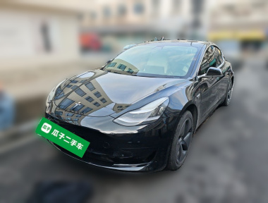 Tesla Model 3 2020 Tesla Model 3 2020 immagine di auto