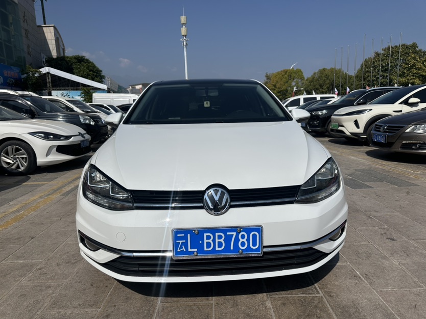 Volkswagen Golf 2020 car image 