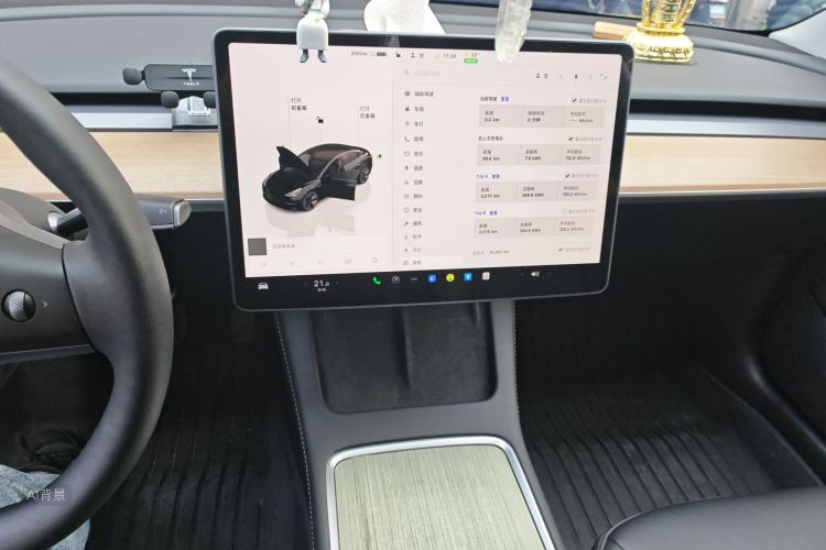 Tesla Model 3 2023 car image #15