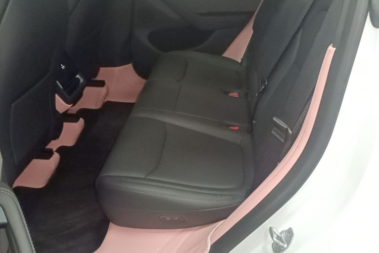 Tesla Model Y 2025 car image #17