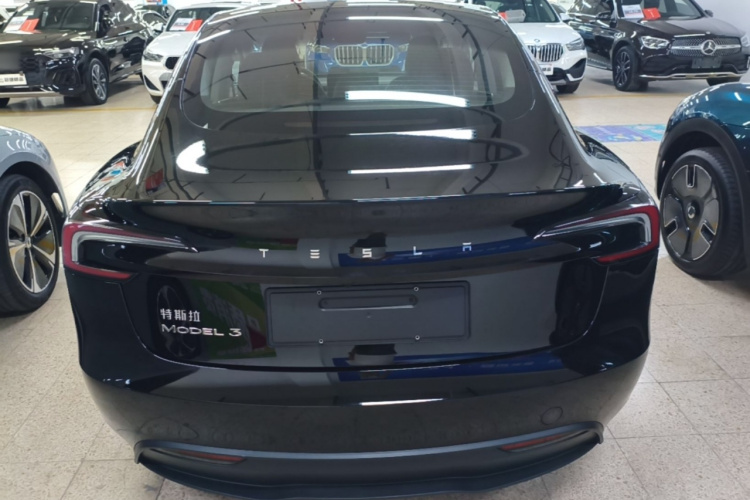 Tesla Model 3 2023 #6 Tesla Model 3 2023 car image #6