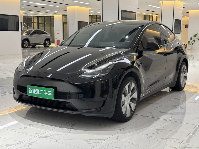 Tesla Model Y 2022 car image 