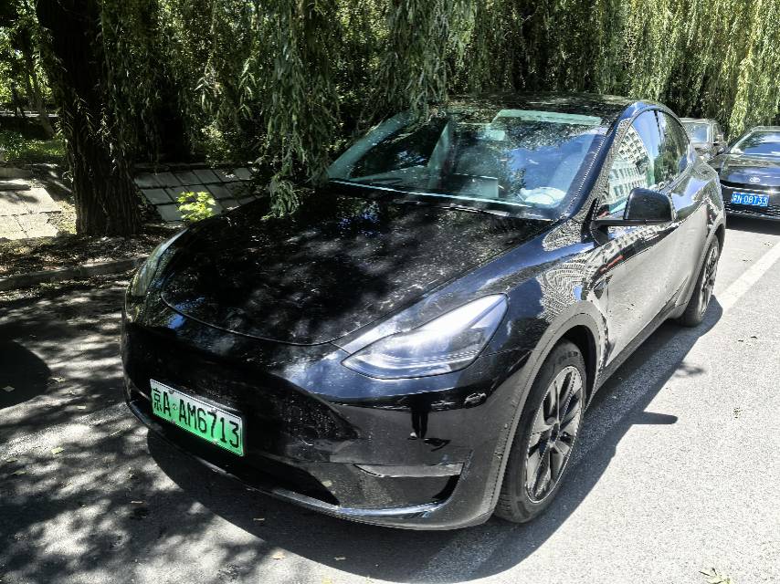 Tesla Model Y 2021 Tesla Model Y 2021 car image