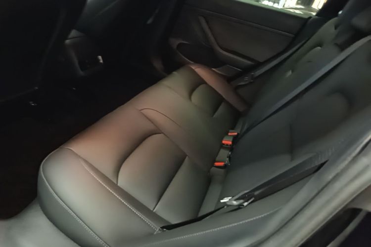 Tesla Model 3 2021 car image #13