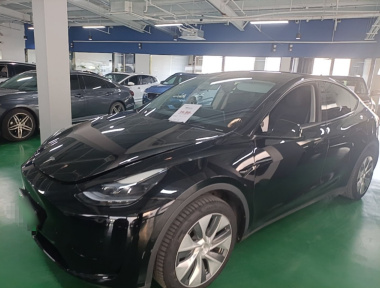 Tesla Model Y 2022 Tesla Model Y 2022 car image