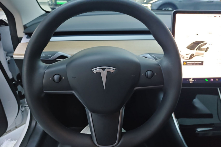 Tesla Model 3 2020 immagine di auto #15