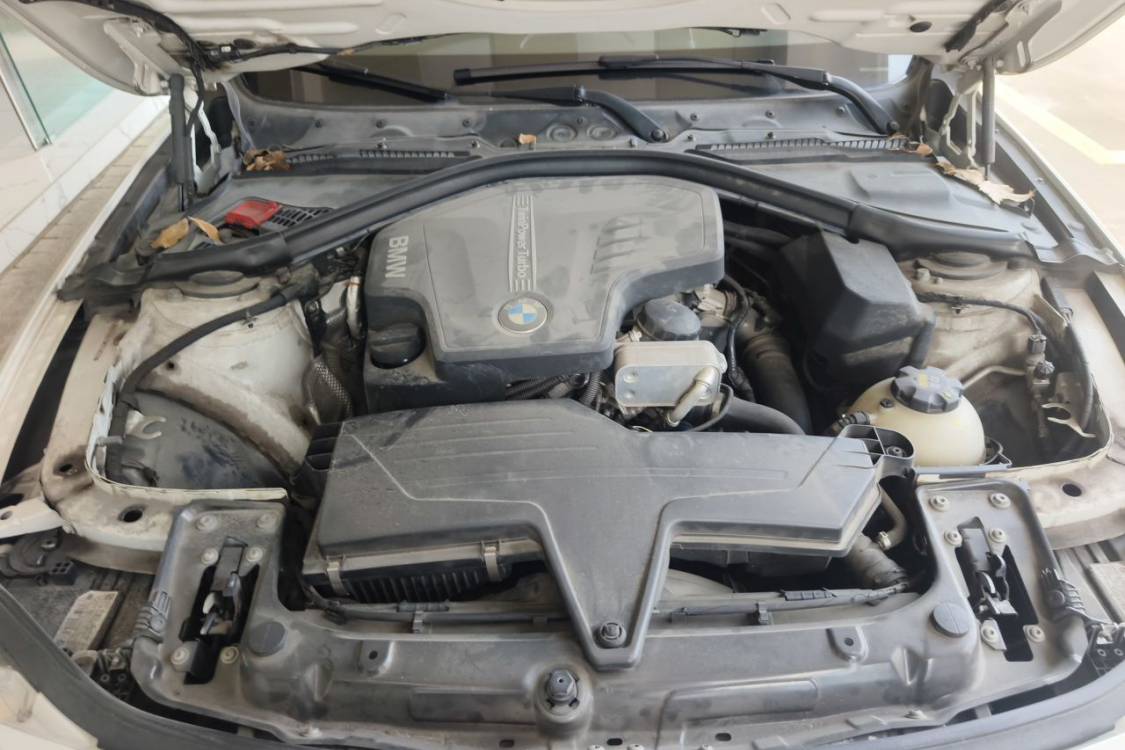 BMW 3 Series 2016 #10 BMW 3 Series 2016 immagine di auto #10