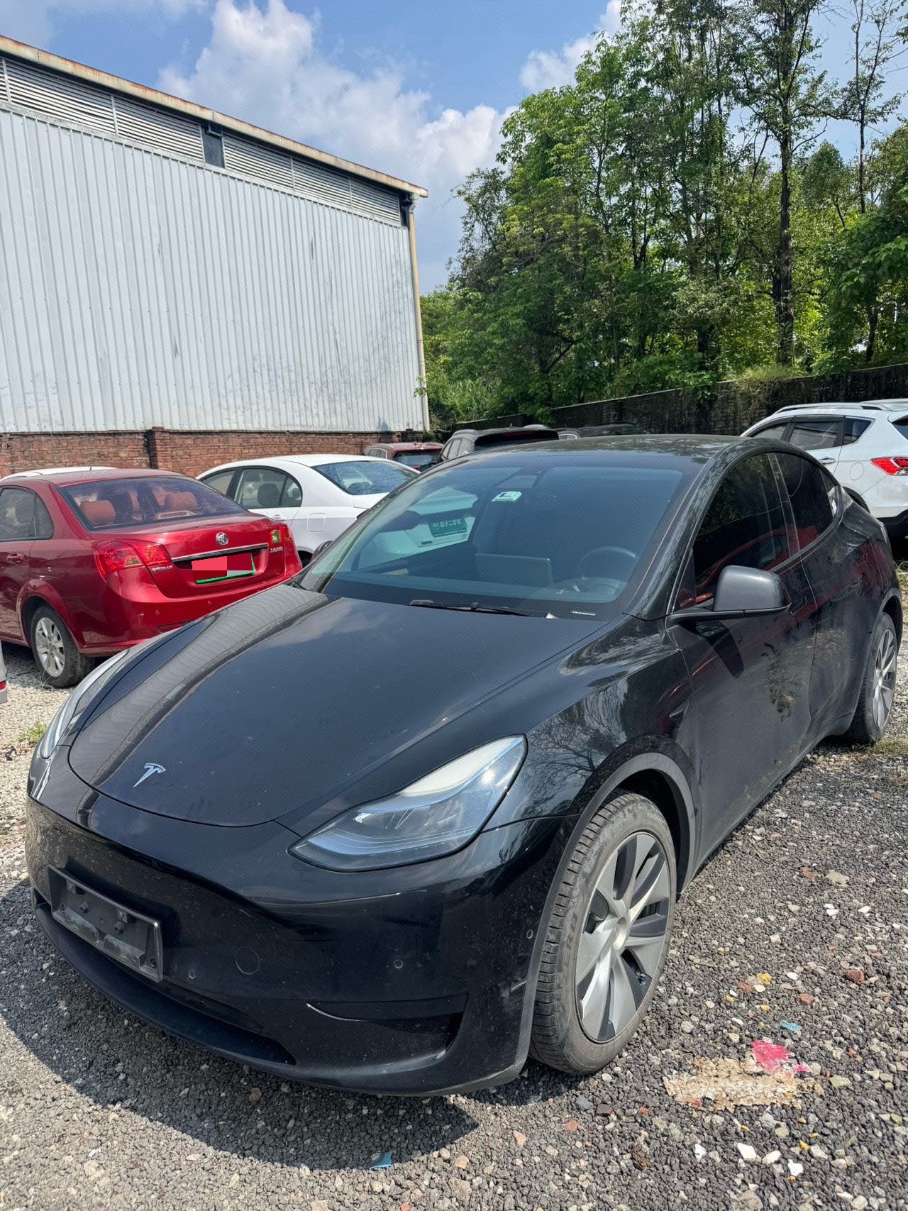 Tesla Model Y 2023 Tesla Model Y 2023 car image