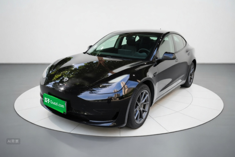 Tesla Model 3 2021 car image #2