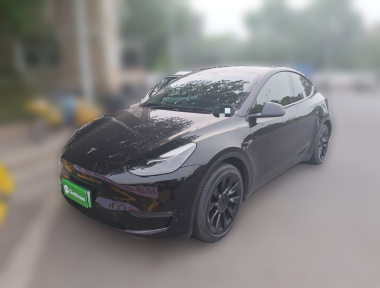 Tesla Model Y 2021 car image 