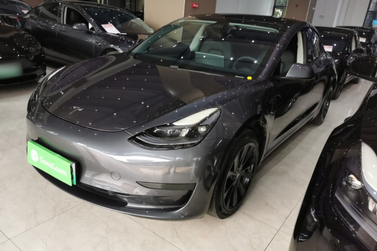 Tesla Model 3 2021 #2 Tesla Model 3 2021 car image #2