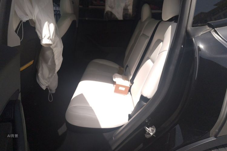 Tesla Model Y 2022 car image #19