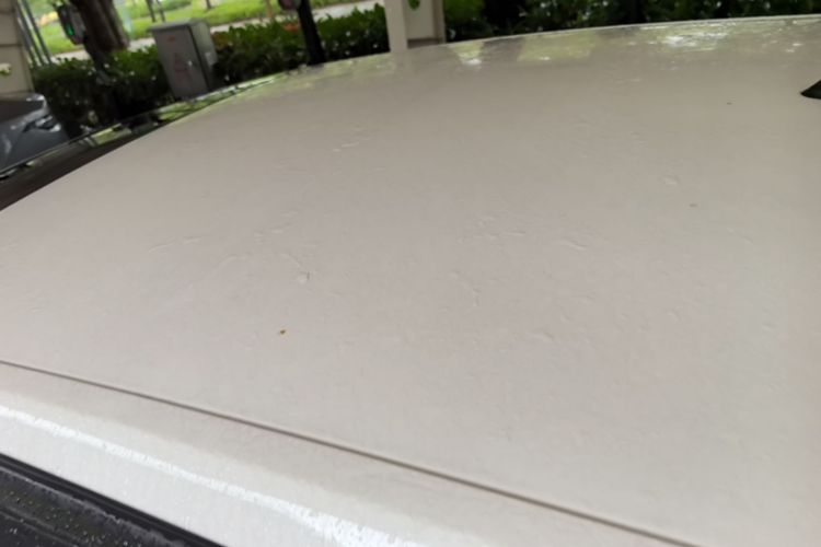 Volkswagen Santana 2016 car image #25