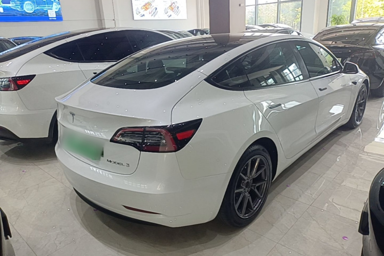 Tesla Model 3 2021 #7 Tesla Model 3 2021 car image #7