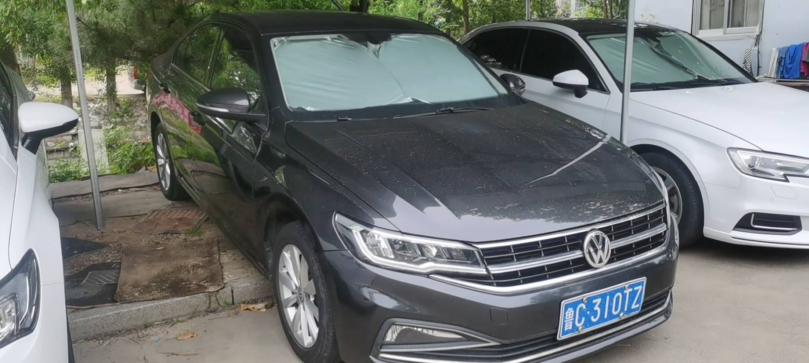 Volkswagen Bora 2019 #2 Volkswagen Bora 2019 car image #2