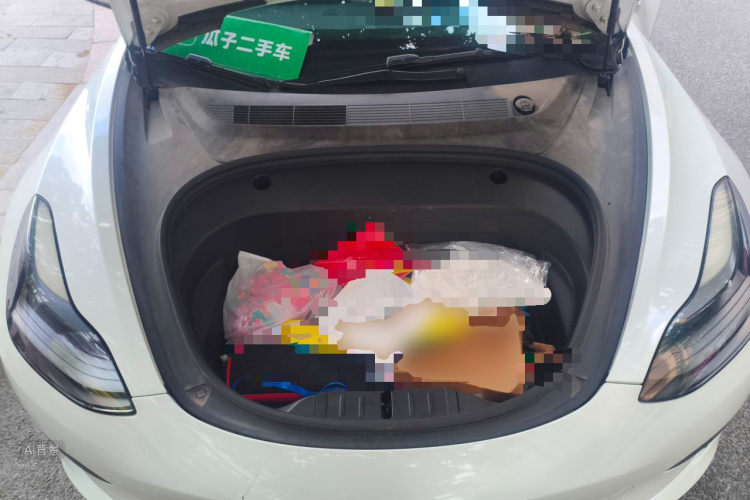 Tesla Model 3 2021 immagine di auto #22