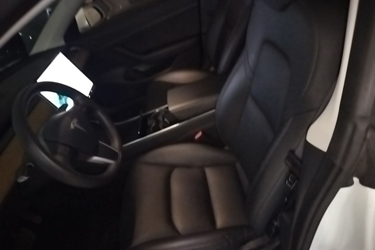 Tesla Model 3 2020 #15 Tesla Model 3 2020 car image #15