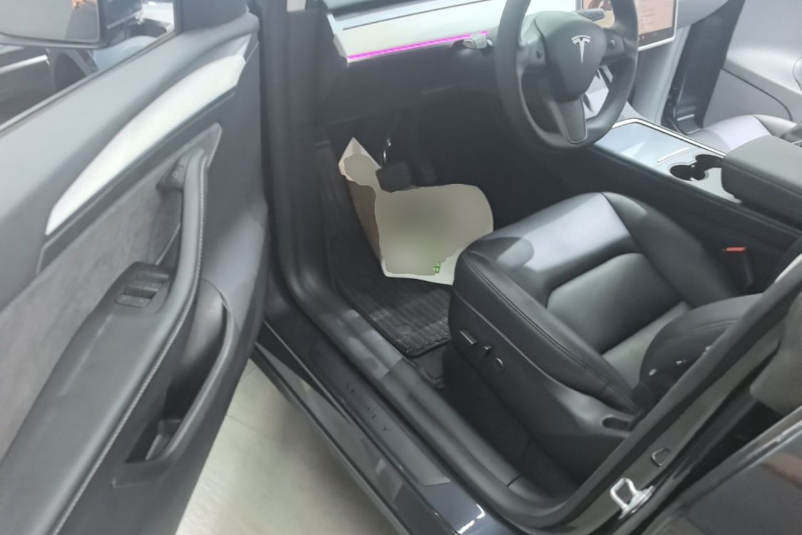 Tesla Model Y 2024 car image #12