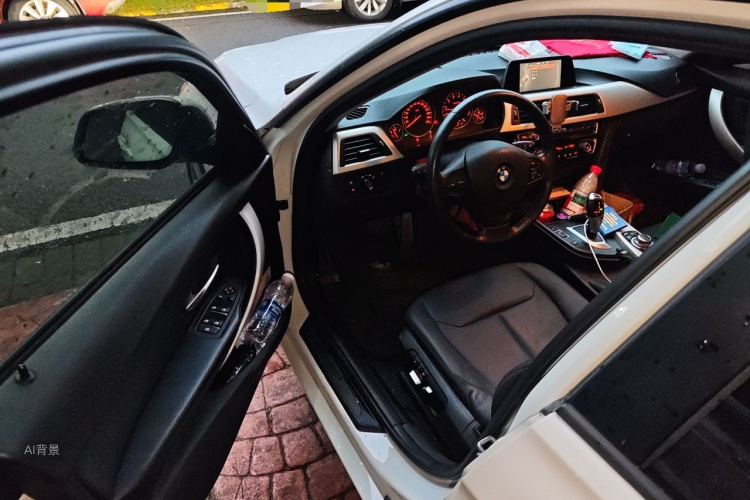 BMW 3 Series 2016 car image #18
