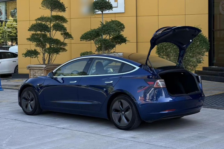 Tesla Model 3 2020 #3 Tesla Model 3 2020 car image #3