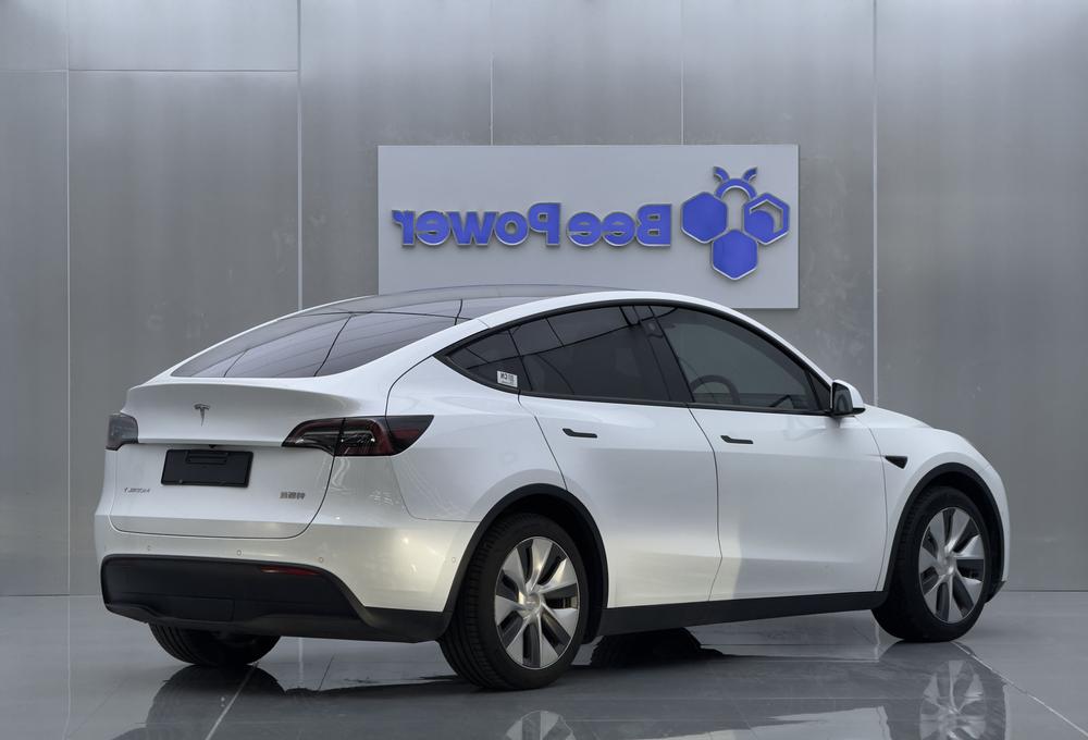 Tesla Model Y 2021 car image #7