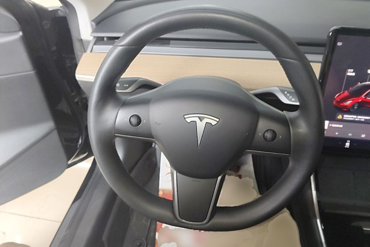 Tesla Model 3 2020 car image #11