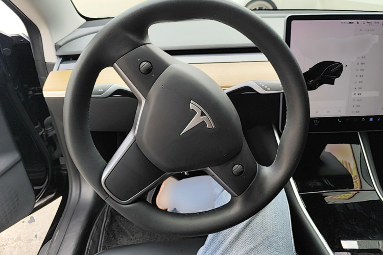 Tesla Model 3 2020 #11 Tesla Model 3 2020 car image #11