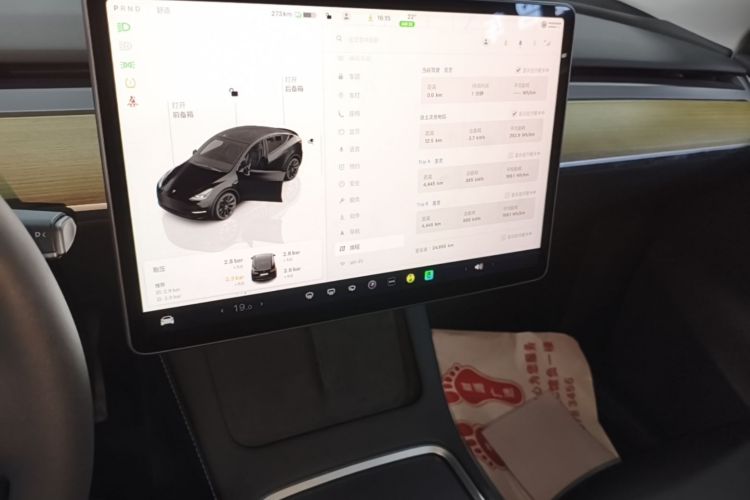 Tesla Model Y 2023 car image #17