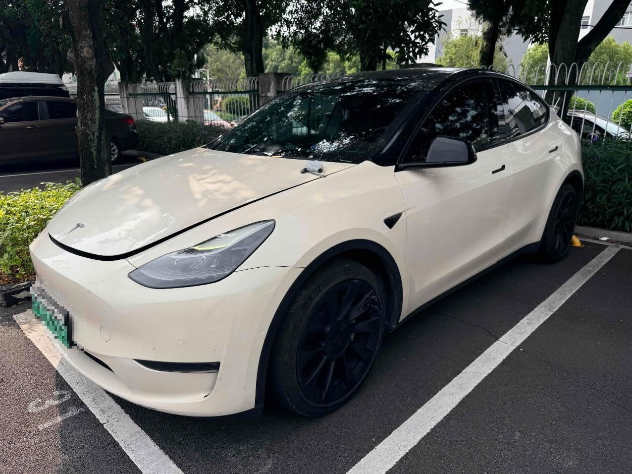 Tesla Model Y 2021 Tesla Model Y 2021 car image