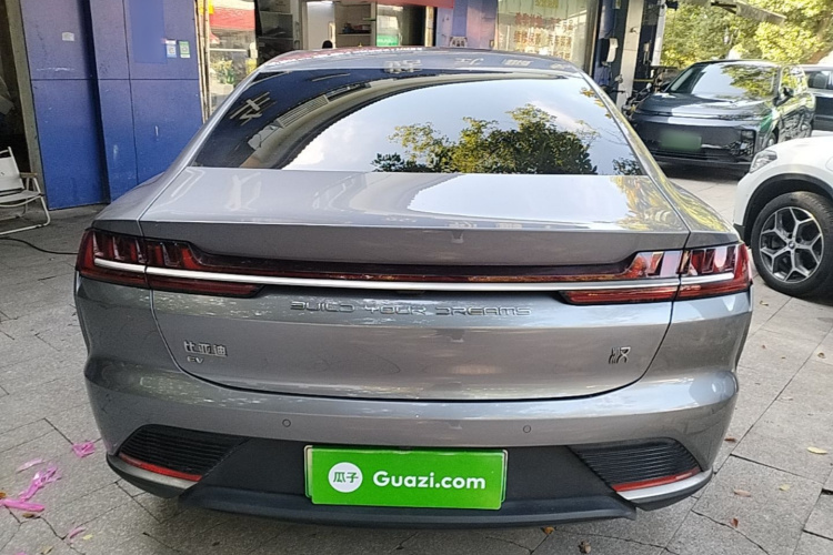 BYD Han 2021 immagine di auto #6
