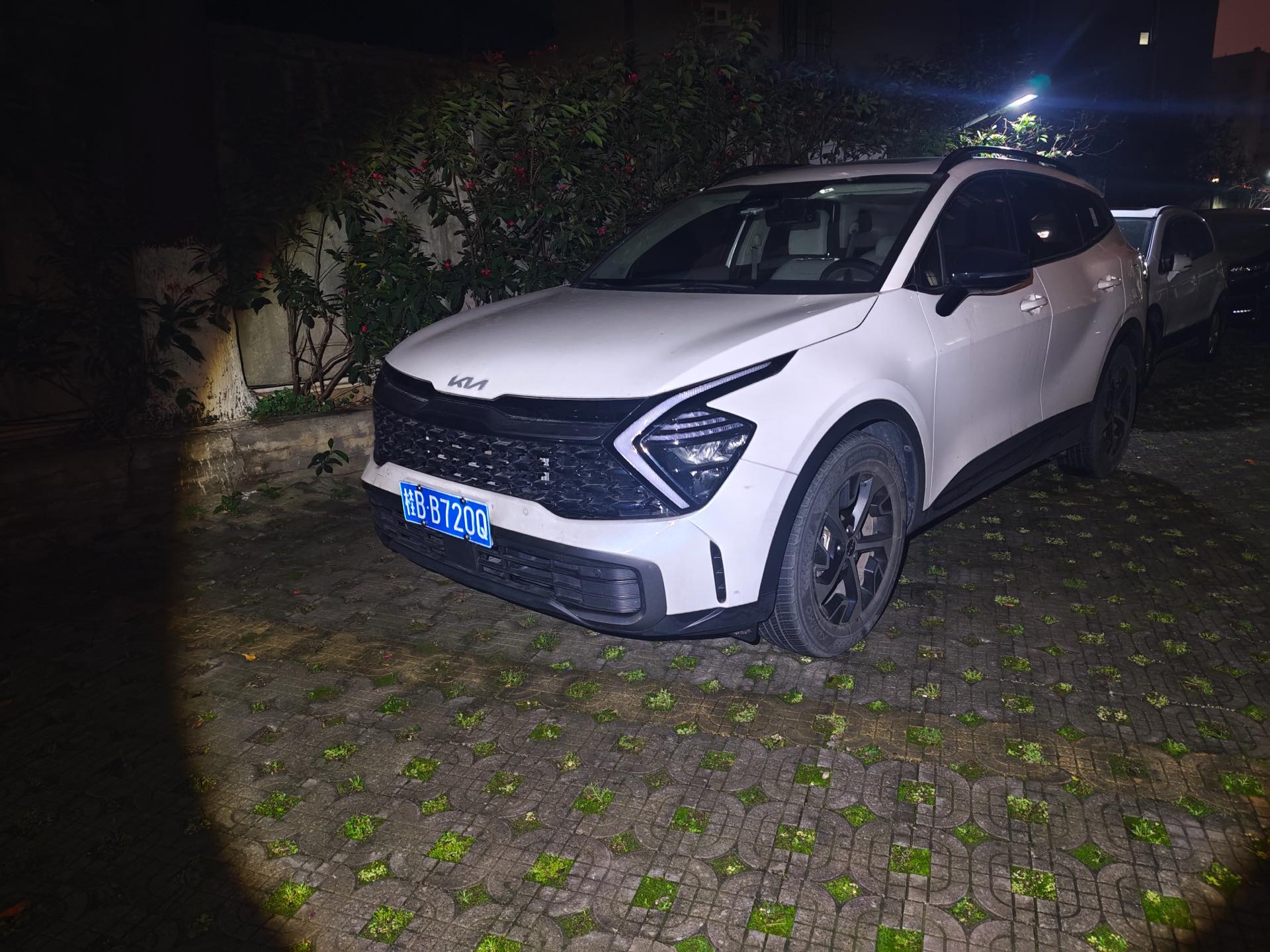 起亚 狮铂拓界 2024 汽车图片 