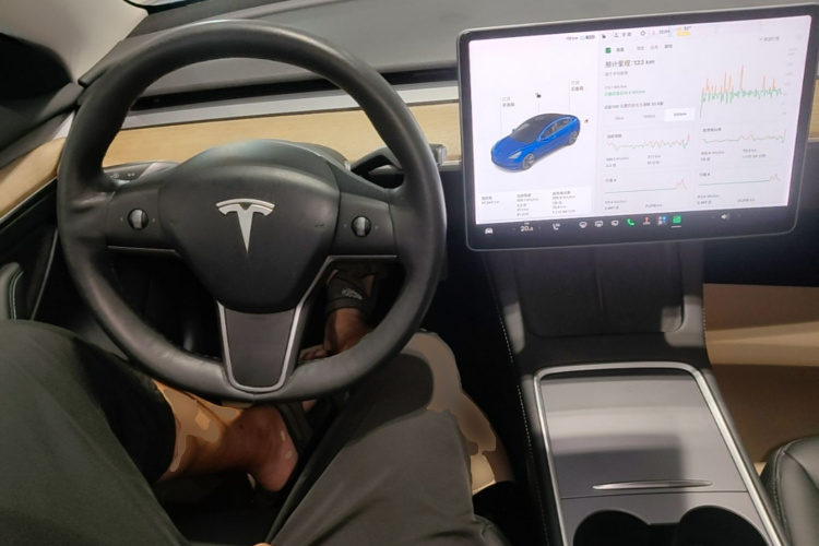 Tesla Model 3 2021 #10 Tesla Model 3 2021 car image #10
