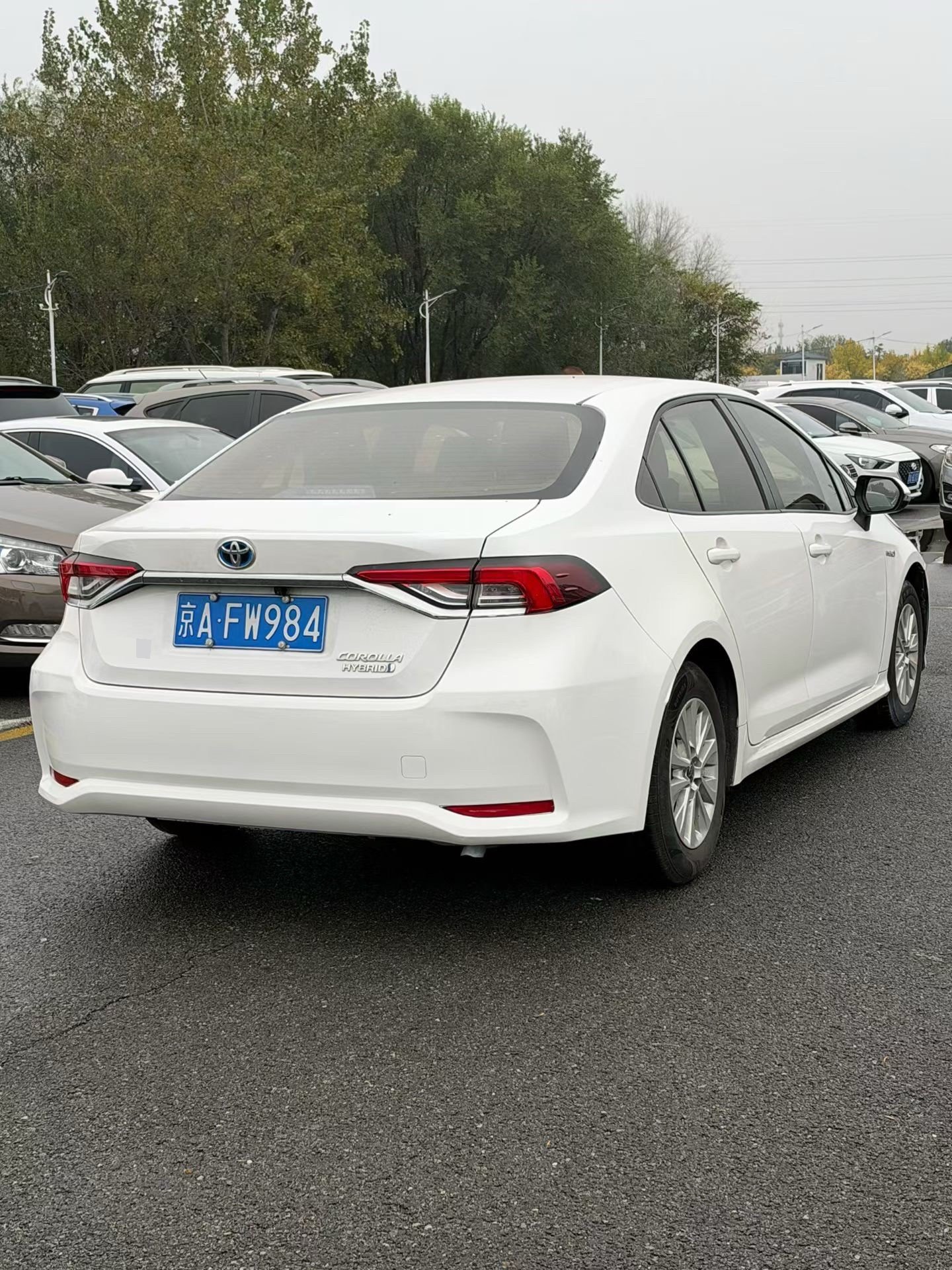Toyota Corolla 2023 #4 Toyota Corolla 2023 car image #4