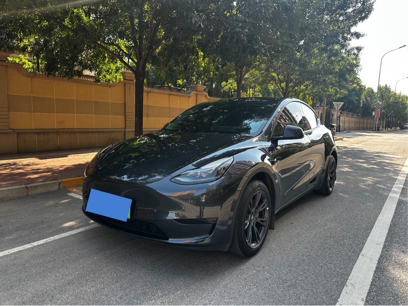 Tesla Model Y 2024 Tesla Model Y 2024 car image